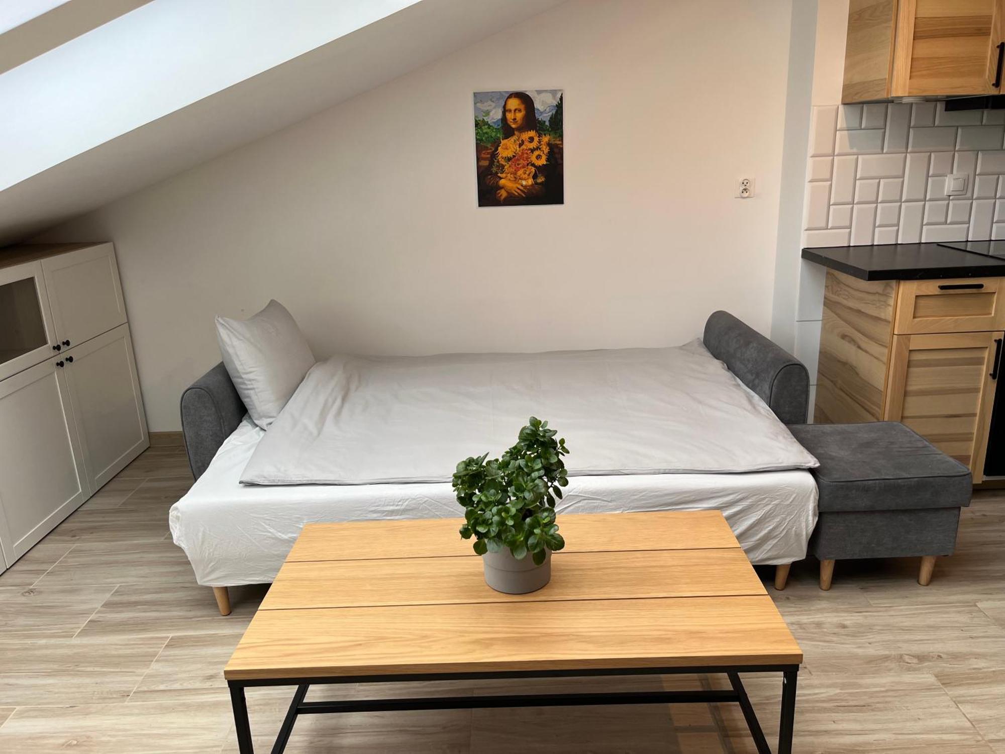 Feelhome Apartment With Kitchen クラクフ エクステリア 写真