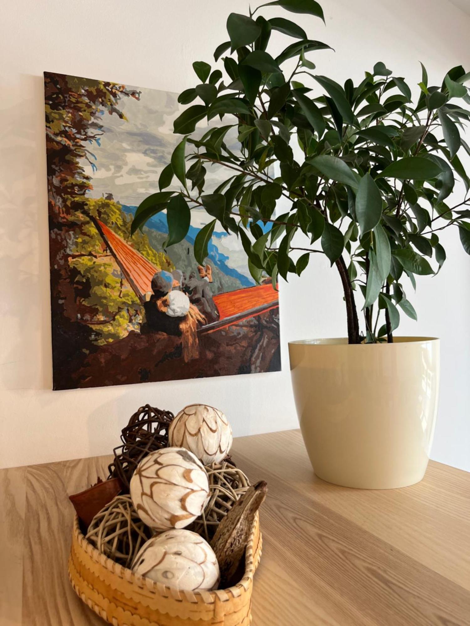 Feelhome Apartment With Kitchen クラクフ エクステリア 写真